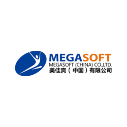 MegaSoft