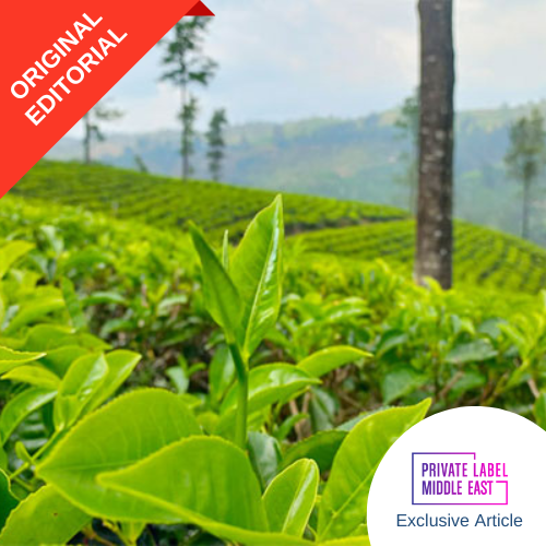 The Future of Tea Sustainability: How Bogawantalawa is Leading with Change