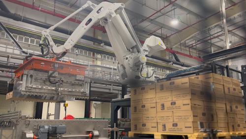 Standard or Robotic Palletizer: What to Choose?
