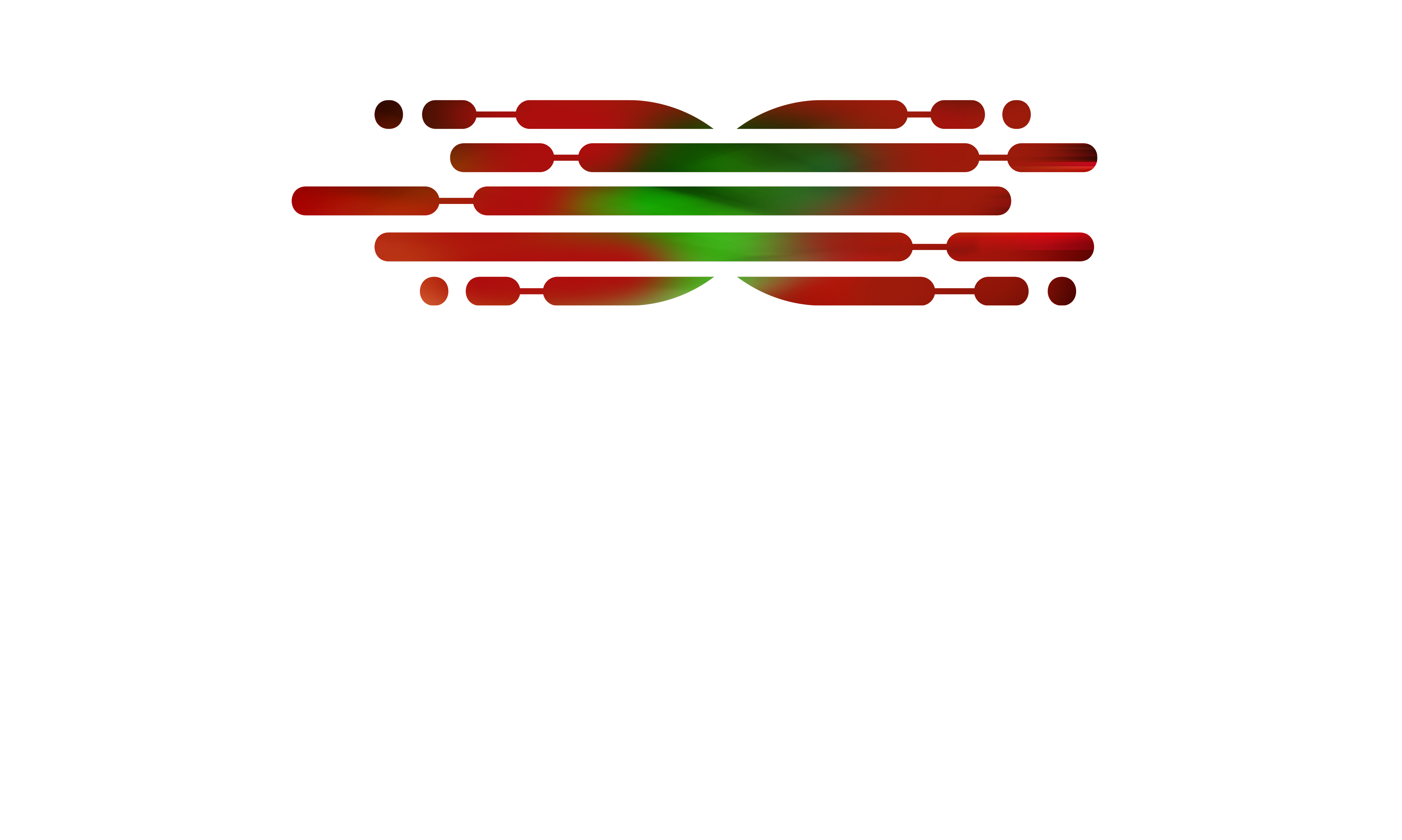 WAM Logo