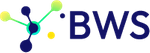 BWS International