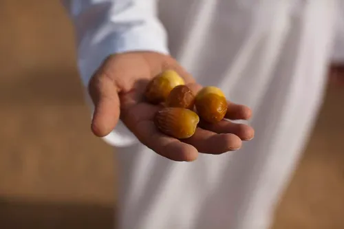 New marketplace opens to help Emirati farmers go global and cut waste