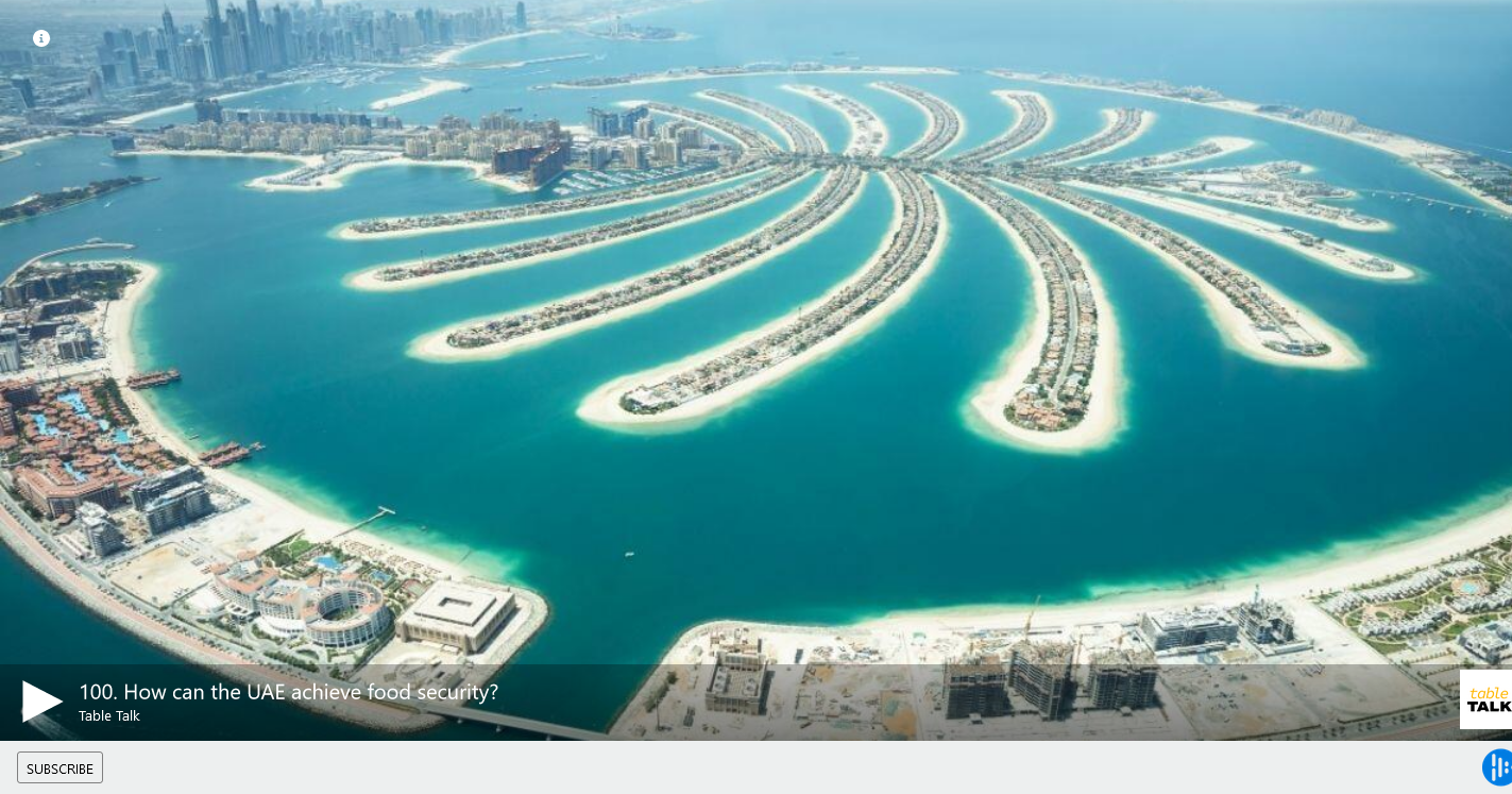 How can the UAE achieve food security?