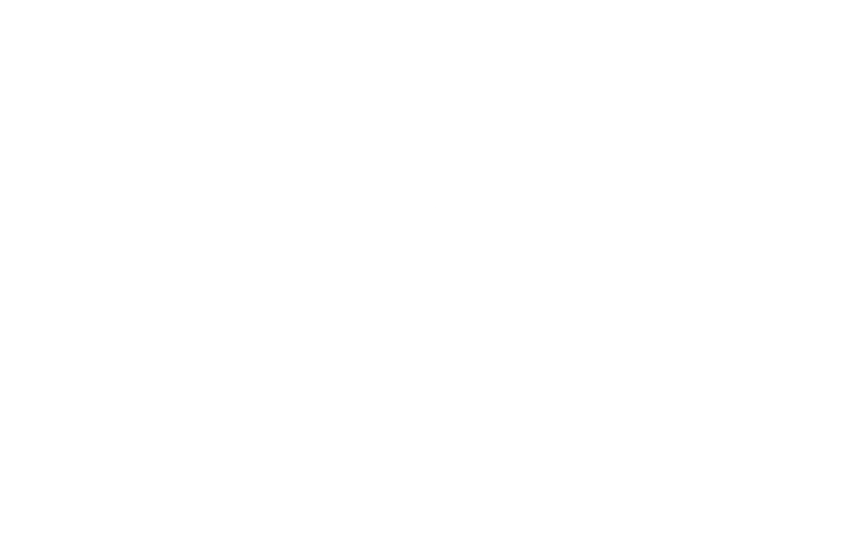 dwtc logo
