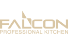 Gold Sponsor - Falcon