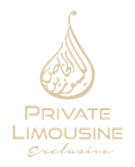 VIP Transport Partner