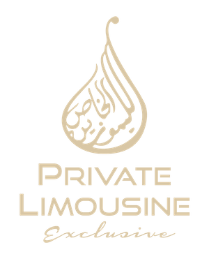 VIP Transport Partner