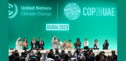 COP28 takeaways: More than $7B mobilized for food system climate action