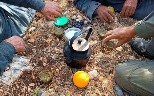 Argentina, Brazil aim to expand yerba mate consumption in Middle East