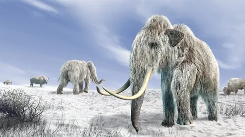 Cultured meat firm resurrects woolly mammoth in lab-grown meatball