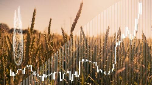 Grain trade disruption could cause severe repercussions on dietary energy and protein consumption in the Middle East – study