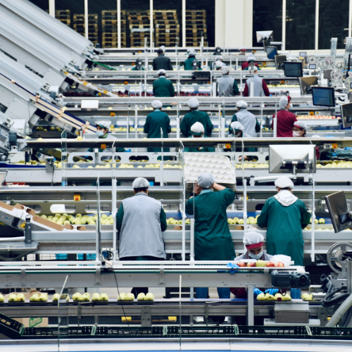 The Year’s Top Trends in Food Manufacturing