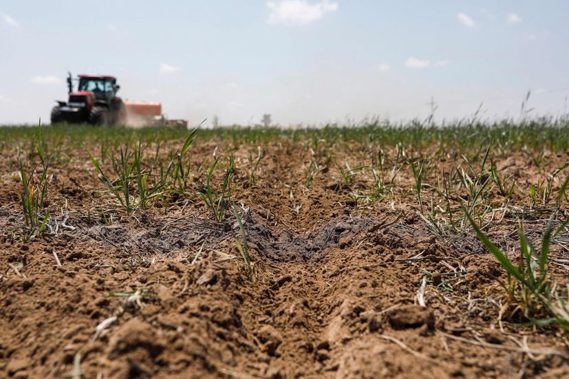 Food Companies Look to Measure How Soil Captures Carbon