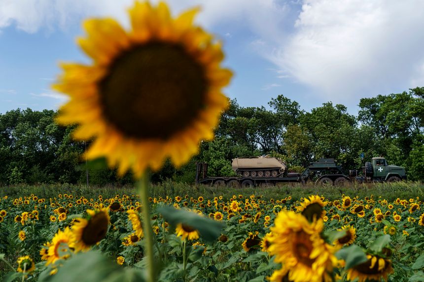 Ukraine Shift on Sunflower-Seed Exports Calms Cooking-Oil Market Rocked by War