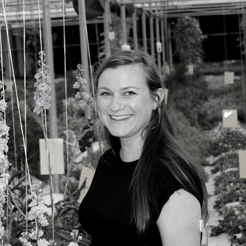 S01E13 - Meet the Woman Growing Edible Flowers in Dubai's Desert for Michelin Stars