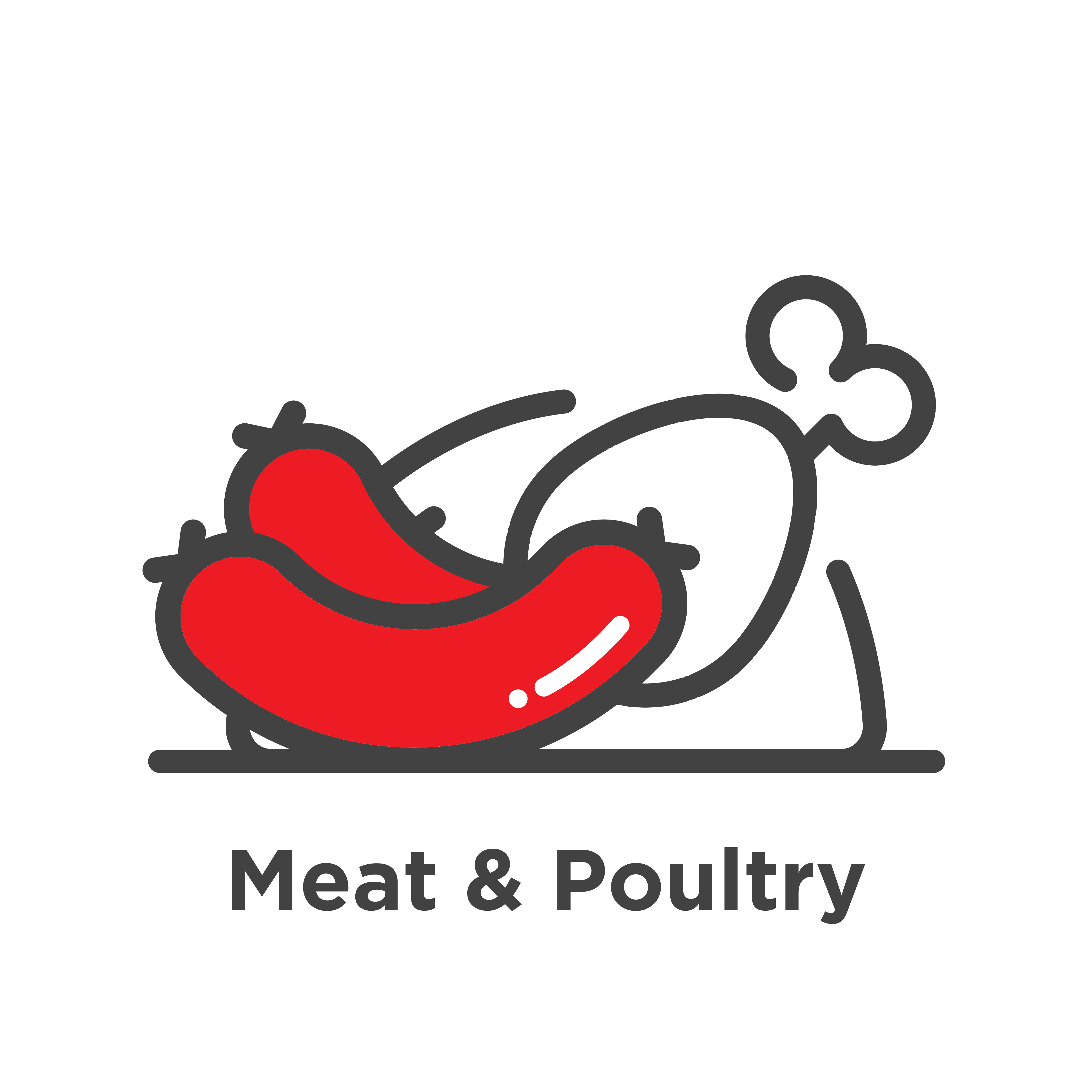 Meat and poultry icon