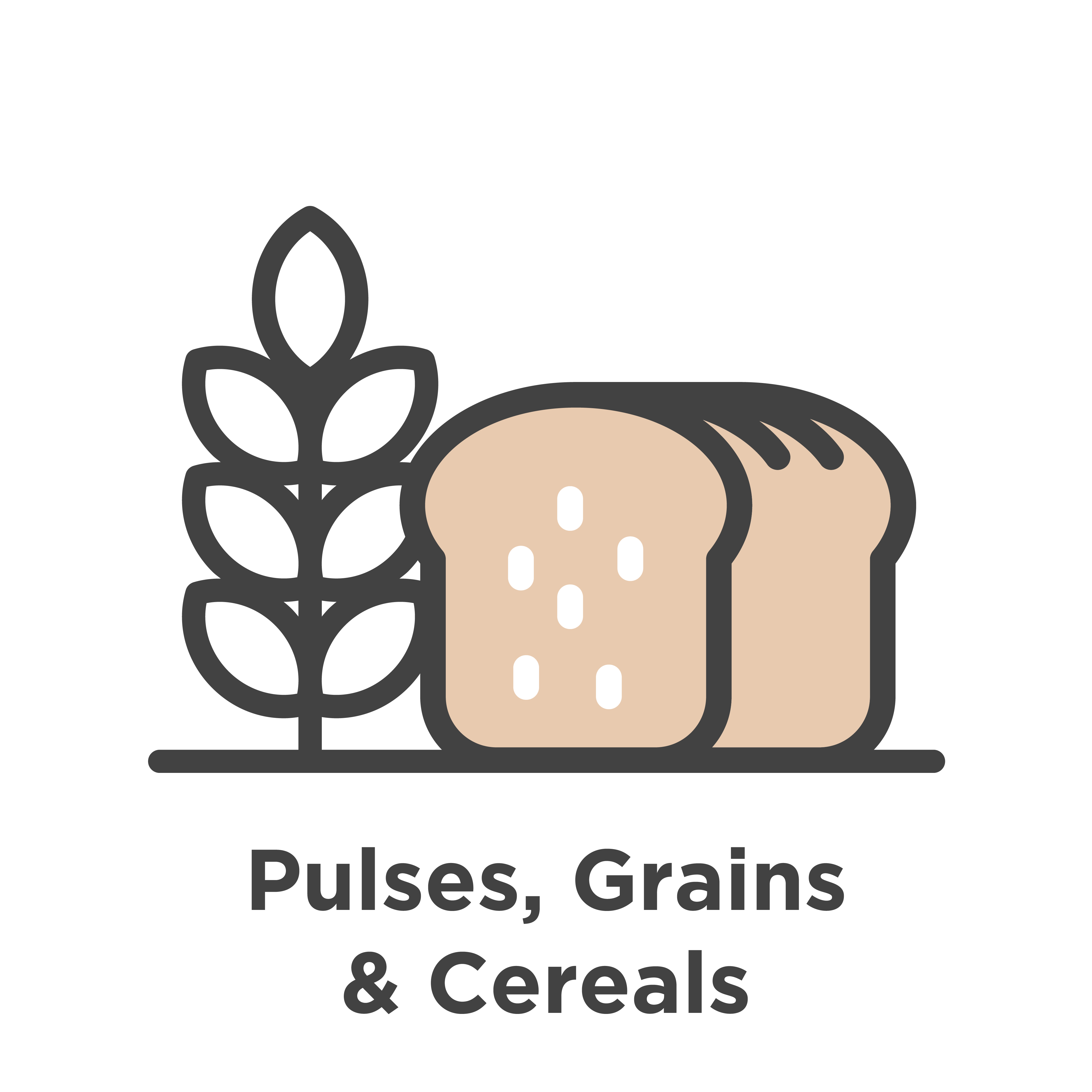 pulses and grains icon