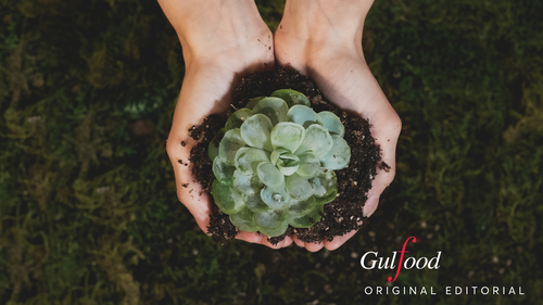 Zero Waste and 30 Years of Food Sustainability in Action