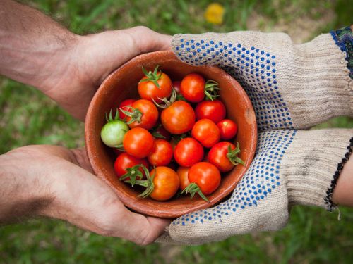 These 10 Startups Will Change How We Grow and Eat Food