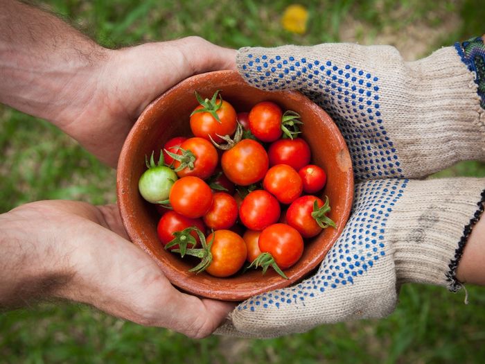These 10 Startups Will Change How We Grow and Eat Food