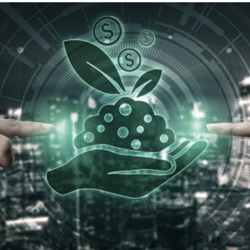 TRANSFORMED FOOD SYSTEMS Building a Resilient and Sustainable Food Value Chain