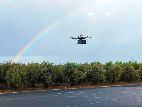 French Fries & Bananas Top The List of Popular Drone-Delivered Items