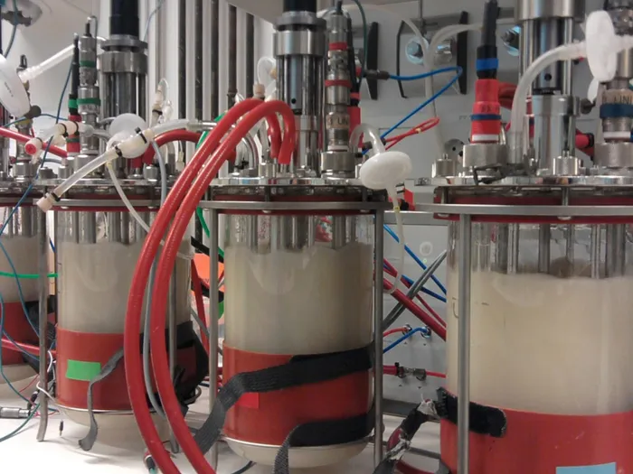 Could Wastewater Be A Triple Solution for Food Waste, Sustainable Proteins & Green Fuels?