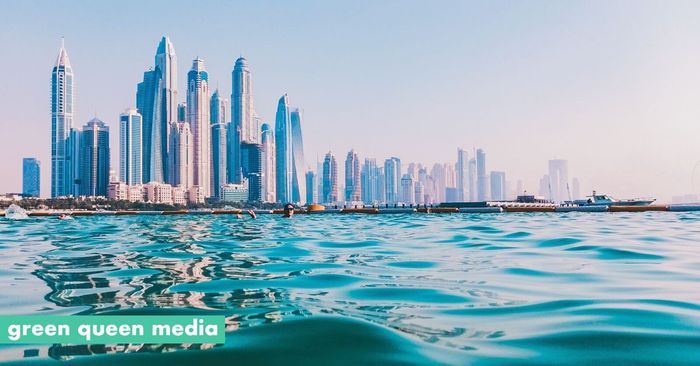 2 New Food Tech Projects Herald the UAE's Sustainable Ag Focus