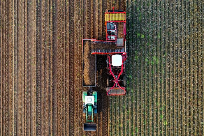 Why This Company Is Growing Vegetables In Bioreactors Instead of Fields