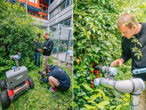 Chat GPT creates robot gripper for harvesting tomatoes