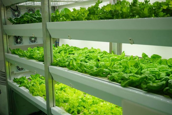 Food security in a changing world