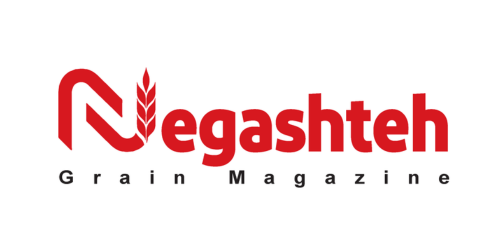 Negashteh
