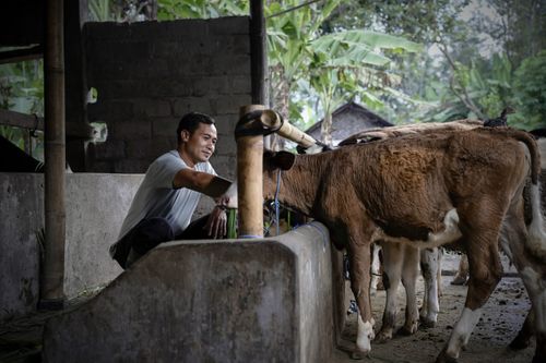 Indonesia Becomes U.S. Export Powerhouse