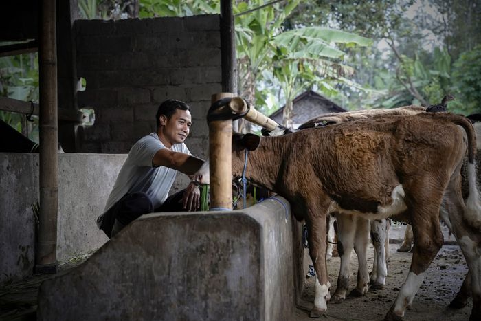 Indonesia Becomes U.S. Export Powerhouse