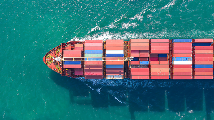 Strategies to Mitigate Disruptions in the Global Food Supply Chain