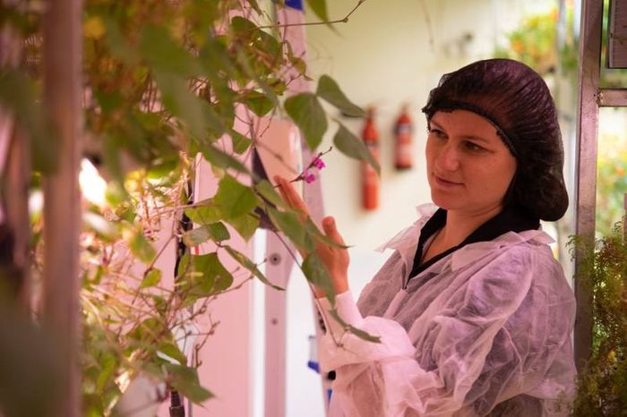 Day in the Life: Eco farmer grows edible flowers for Dubai's Michelin-starred restaurants