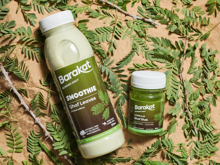 Ghaf tree smoothie anyone? You can now taste the UAE's national tree