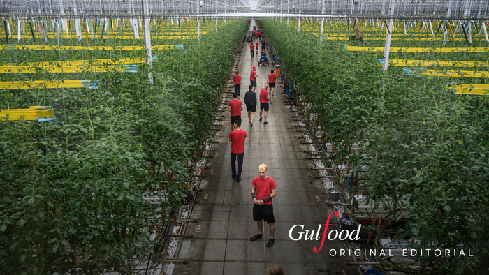 A Visual Reckoning with the Global Food System: Reflections on Food For Thought with Kadir van Lohuizen