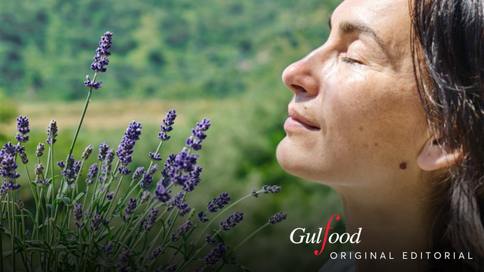 Could the Future of Food Be Inhaled? New Research Shows Air as a Source of Nutrients