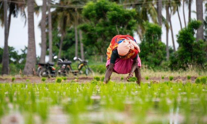 We're Failing to Solve Global Hunger, According to this Year's State of Food Security and Nutrition in the World Report