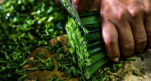 The Spice of Life: Exciting Global Flavour Trends to Look Out For