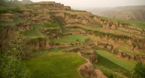 Lessons from China: how the UAE can conserve its soils