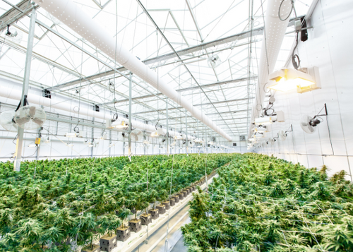 Future-Proofing The F&B Industry: Building Sustainable Businesses In A Changing World