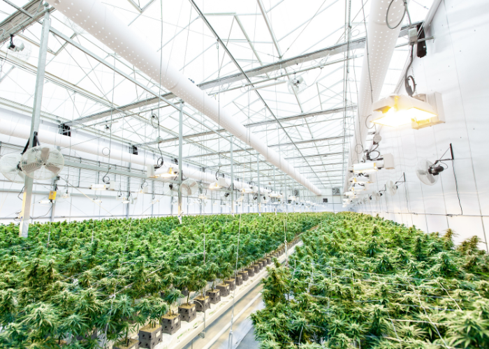 Future-Proofing The F&B Industry: Building Sustainable Businesses In A Changing World