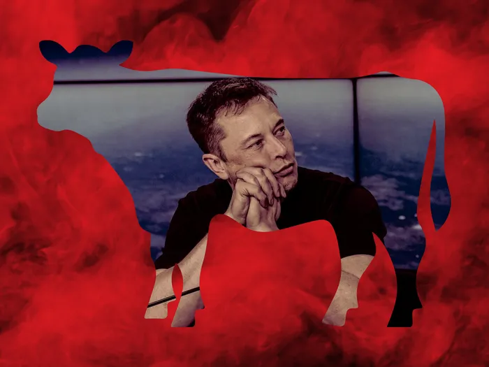 Elon Musk Says Beef Has No Impact on Climate Change