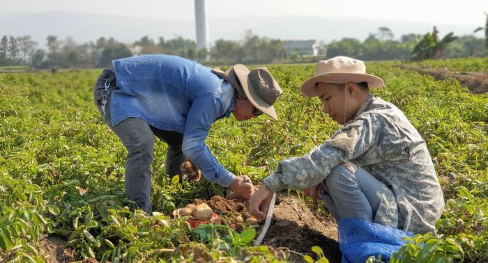 How PepsiCo is working to convince its farmers to embrace regenerative agriculture