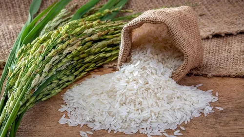 India Sets Sail On New Rice Odyssey, Eyeing 26 Fresh Global Markets