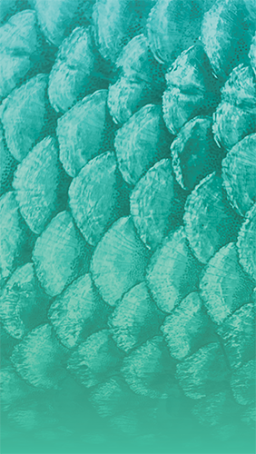 SEAFOOD