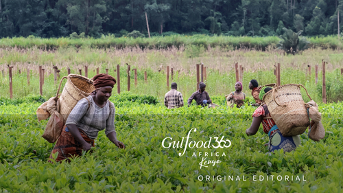 Why Africa Could Be the Answer to Multi-Sourcing