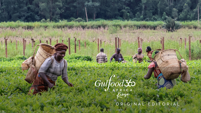 Why Africa Could Be the Answer to Multi-Sourcing